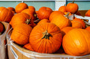 Pumpkin Bins